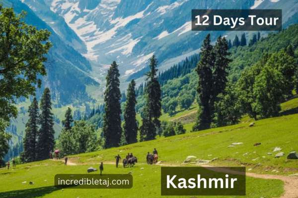 12-days-golden-triangle-tour-with-kashmir